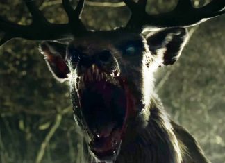 bambi