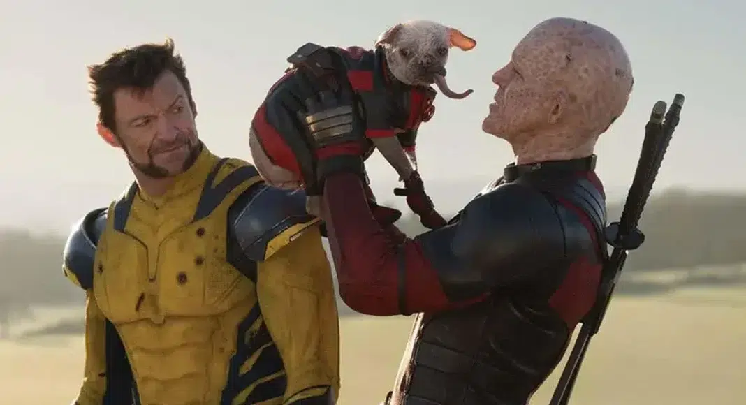 deadpool wolverine dogpool new photo deadpool wolverine dogpool new photo