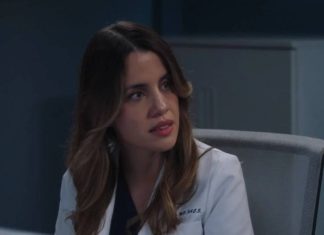 ‘Grey’s Anatomy’ confirma o RETORNO de mais um personagem na 21ª temporada dra. monica beltran greys anatomy