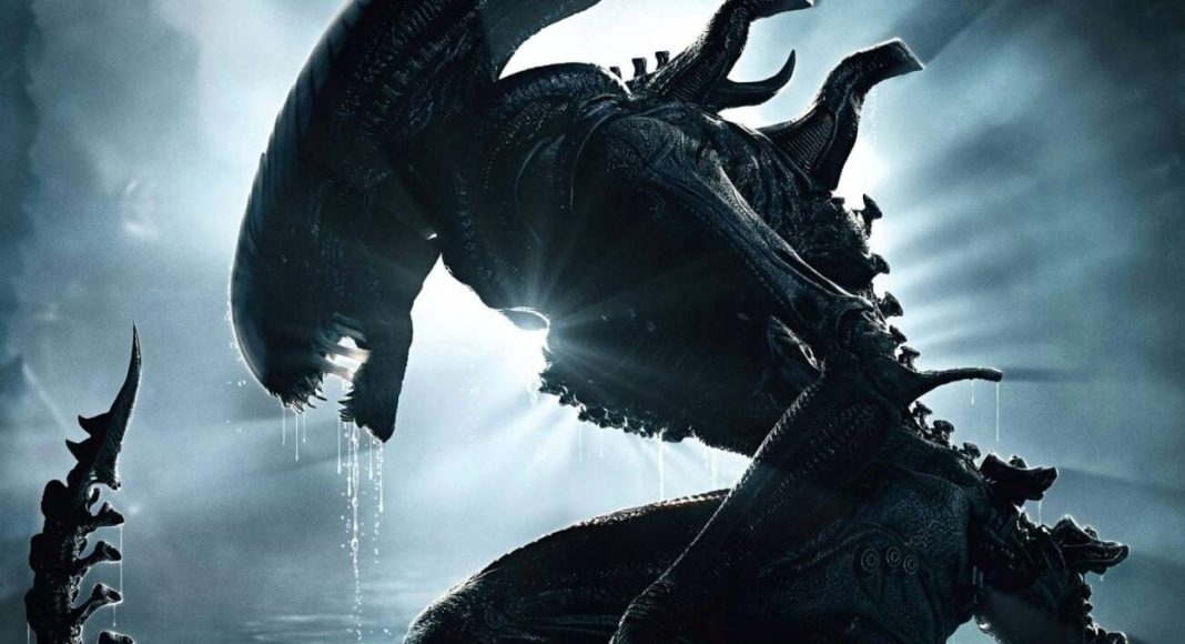 alien romulus2