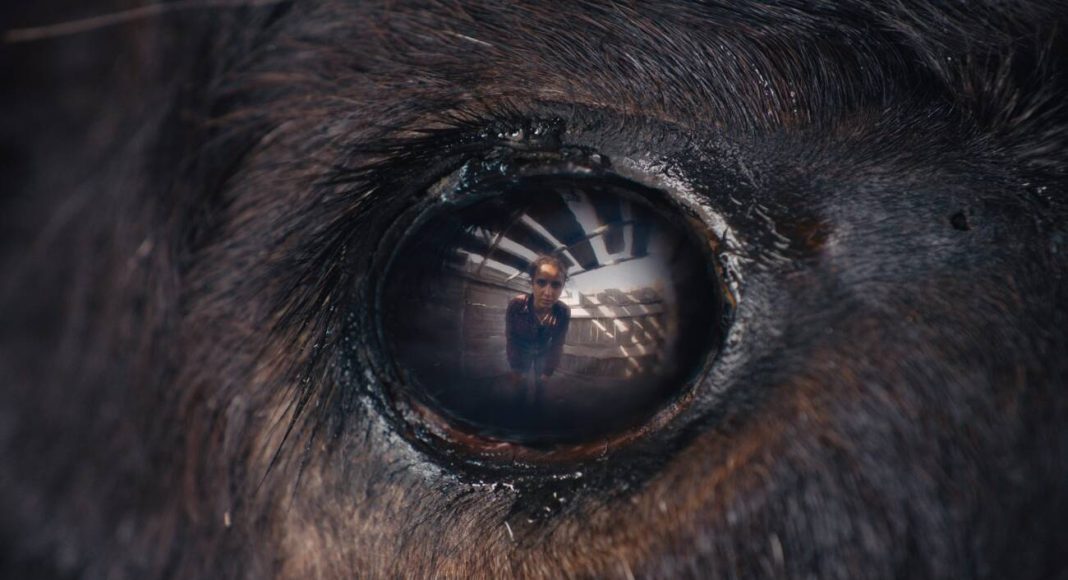 animale 1