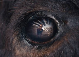 animale 1