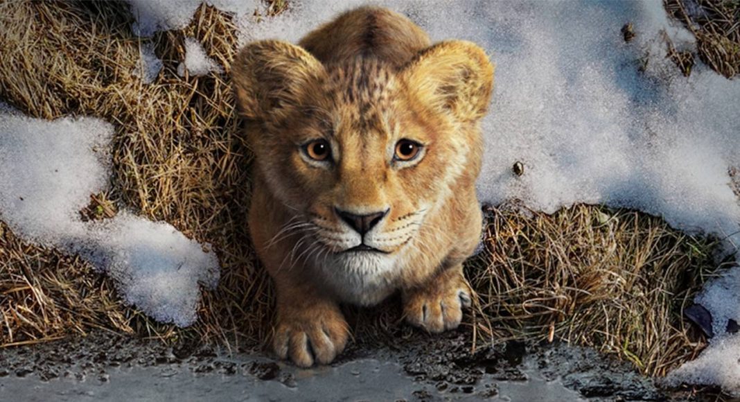 mufasa mufasa