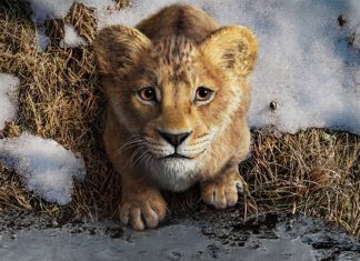 mufasa