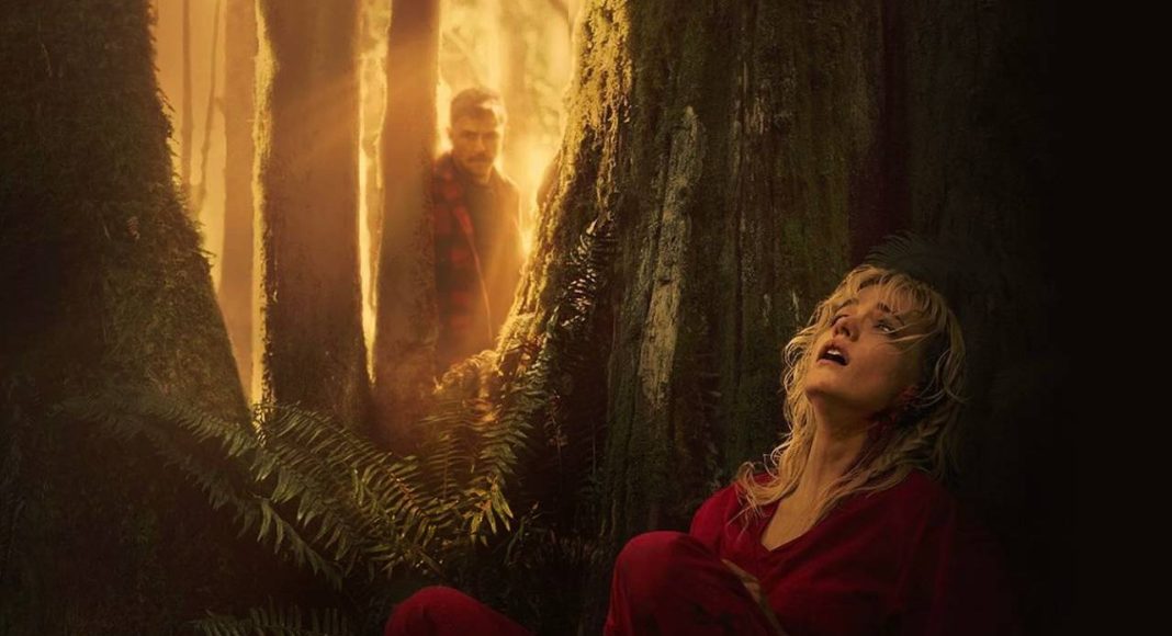strange darling filme