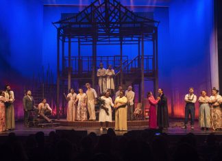 Musical ‘A Cor Púrpura’ RETORNA aos palcos de São Paulo! foto carlos costa