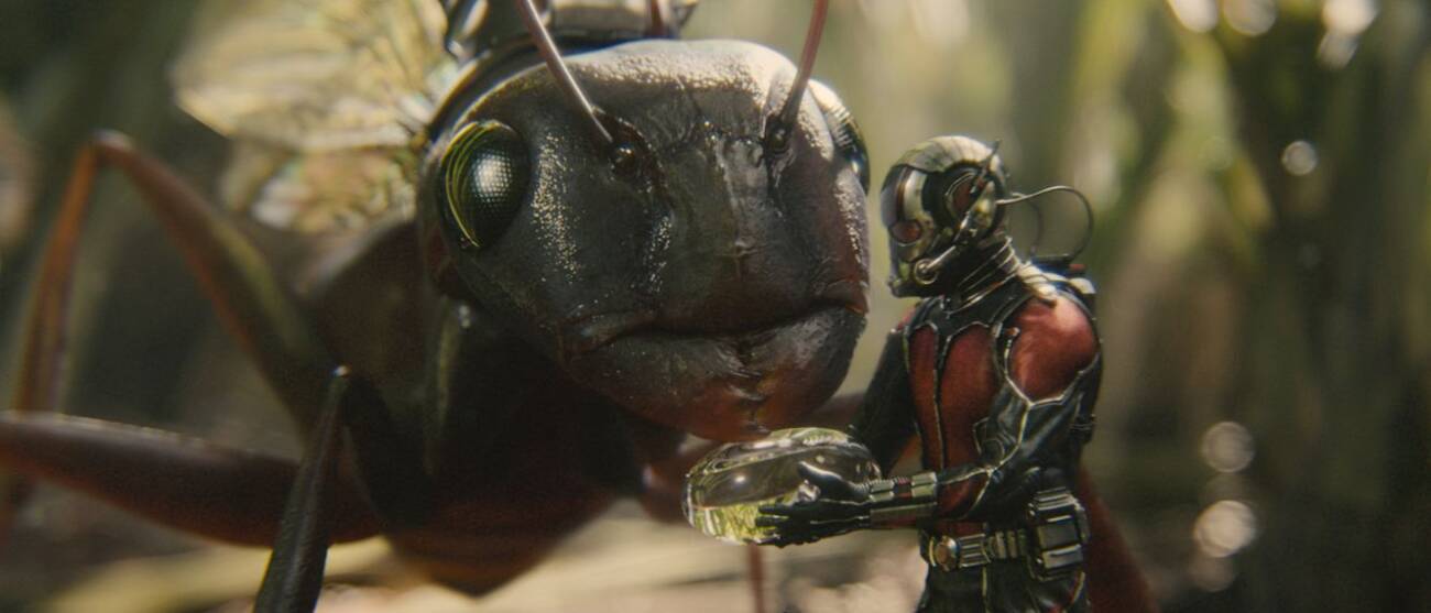 antman featured