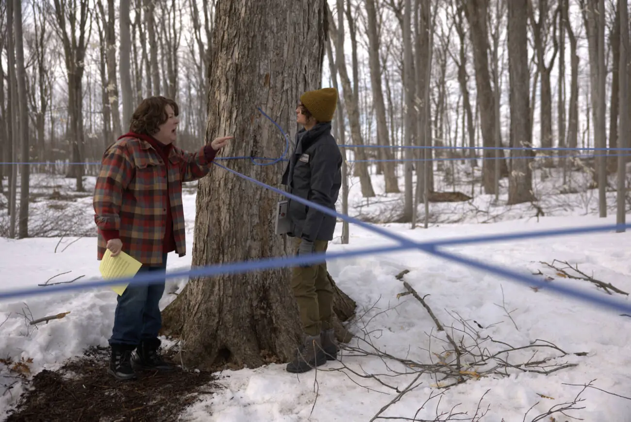 Pessoas inspecionando árvores em floresta nevada.