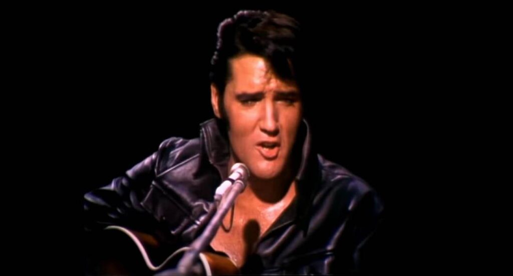 Return of the King: The Fall and Rise of Elvis Presley,Netflix