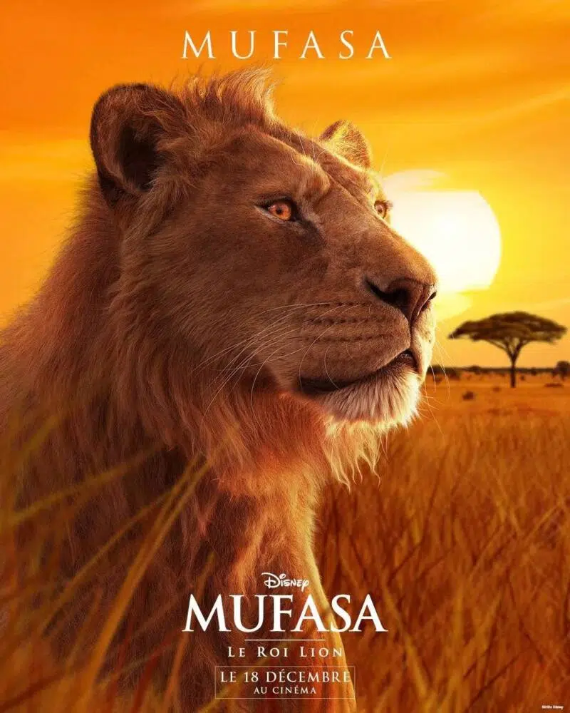 Mufasa,O Rei Leão