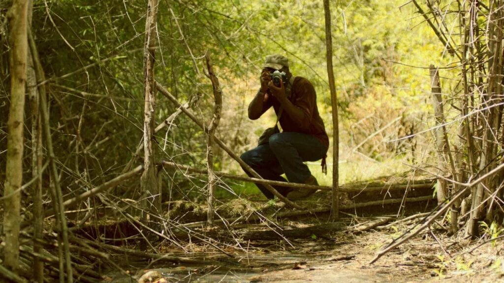 Fotógrafo agachado capturando imagens na floresta