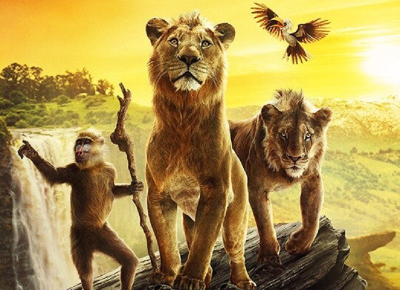 mufasa001