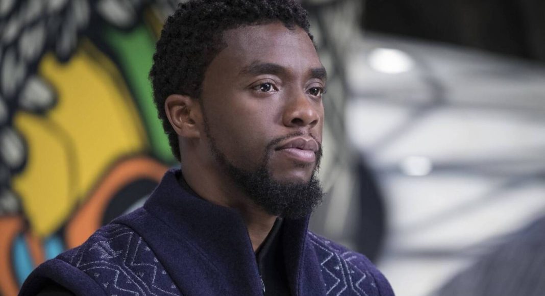 t'challa pantera negra