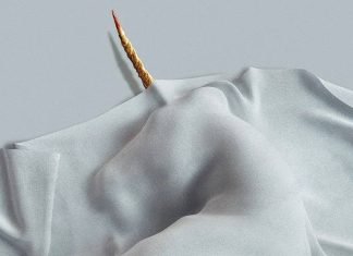 death of a unicorn