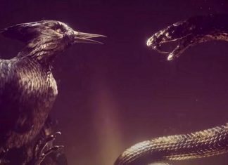 Jogos Vorazes: Amanhecer na Colheita | Quem é quem na adaptação cinematográfica do prelúdio de ‘Jogos Vorazes’