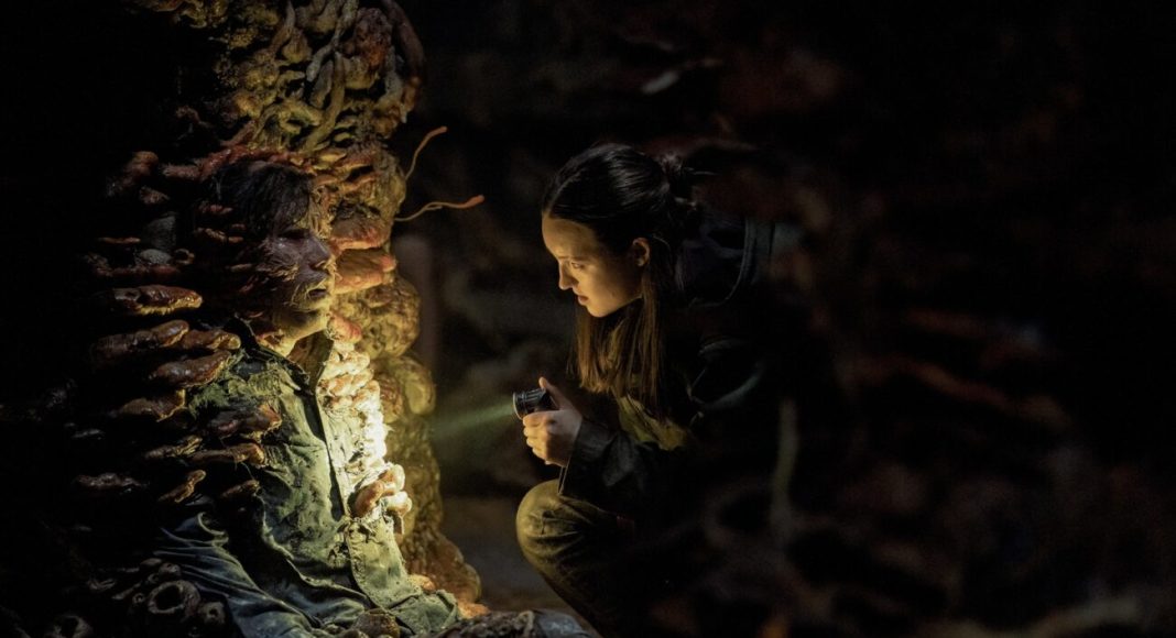the last of us2