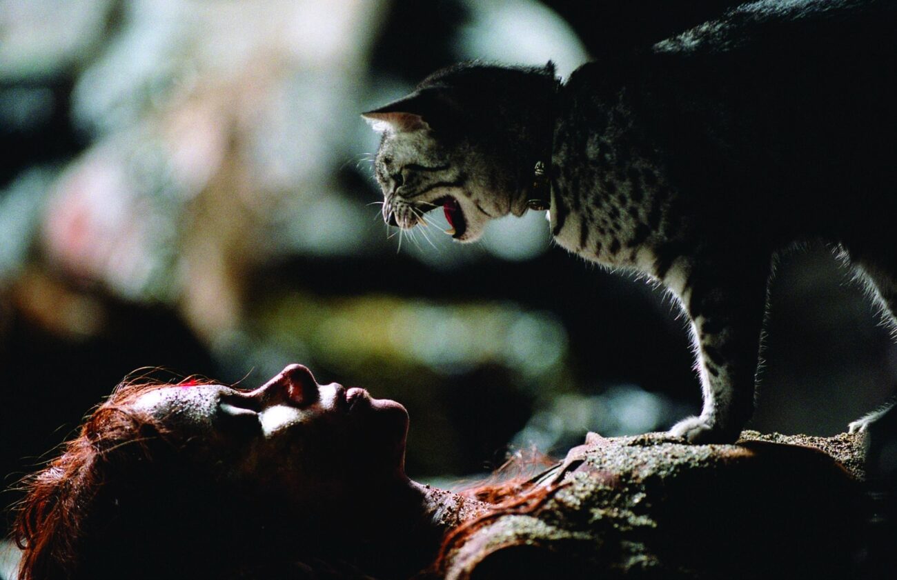 mv5bntq1mzq2nzaznf5bml5banbnxkftztcwndeymdmynw@@. v1 