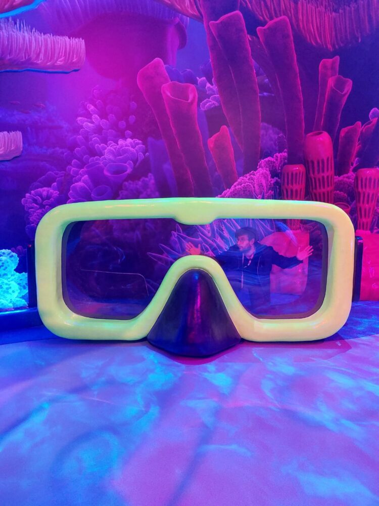 whatsapp image 2025 06 18 at 23.06.35