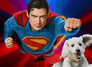 Superman | James Gunn fala sobre o ‘Krypto’ e brinca: “Ele é terrível!”