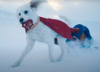 ‘Superman’: James Gunn volta a negar o uso de IA na produção do longa