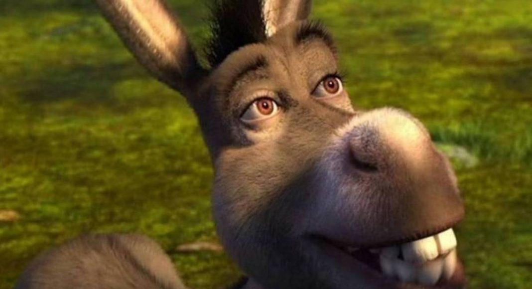burro shrek