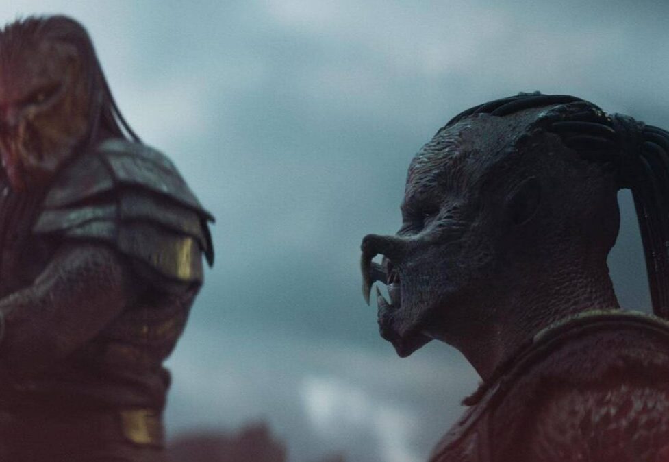 predador terras selvagens