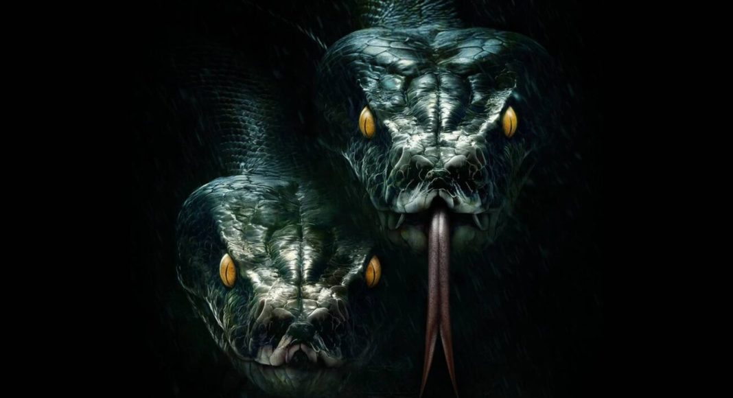 as anacondas the anacondas