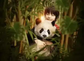 O Menino e o Panda
