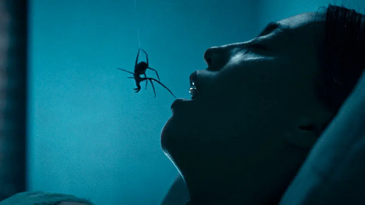crawlers still