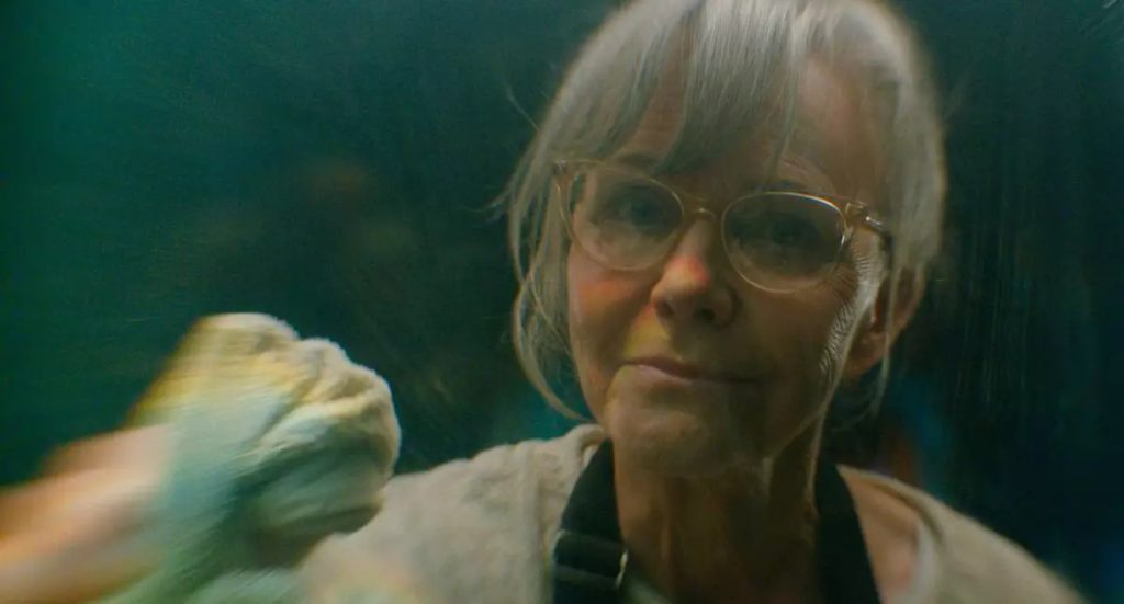 Emmy Awards 2026 | Sally Field leva o prêmio de Melhor Atriz em Filme por ‘Criaturas Extraordinariamente Brilhantes’