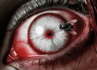 ‘A Morte do Demônio’ – Ranqueamos TODOS os Filmes da Famosa Franquia de Terror