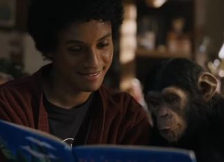 ‘Michael’: Rei do Pop quase ganhou cinebiografia inusitada sob o olhar de Bubbles, o famoso chimpanzé do astro