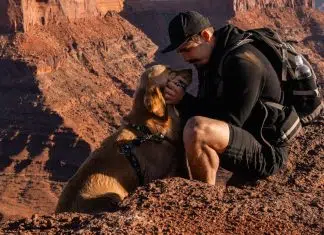 Minha Vida com Shurastey Man in a black cap kneels on a red rock ledge, gently holding a golden retriever's face for a kiss during a canyon hike, backpack nearby.