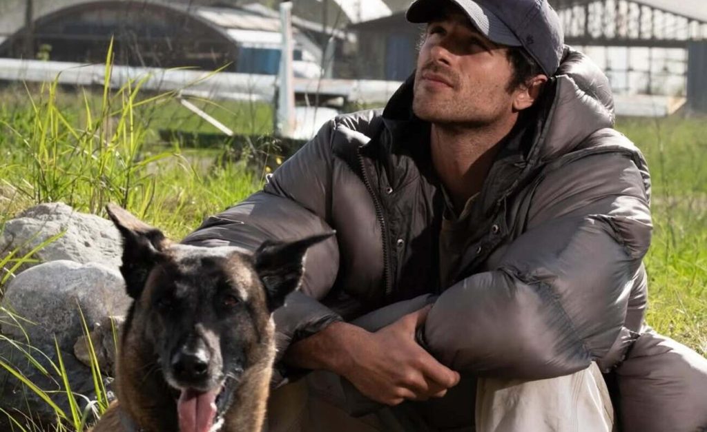 the dog stars 3 e1776285526422