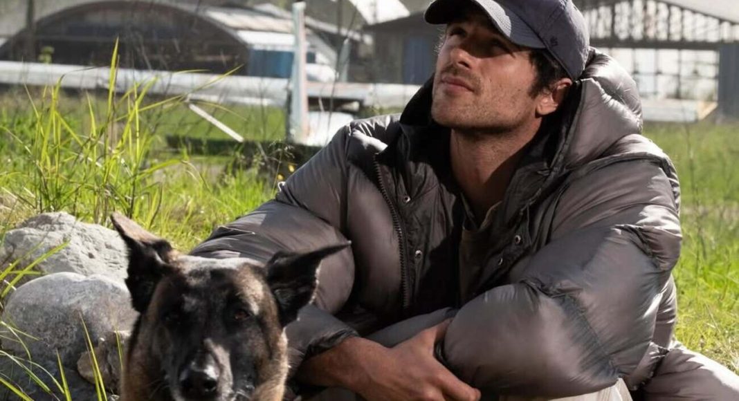 the dog stars (3)
