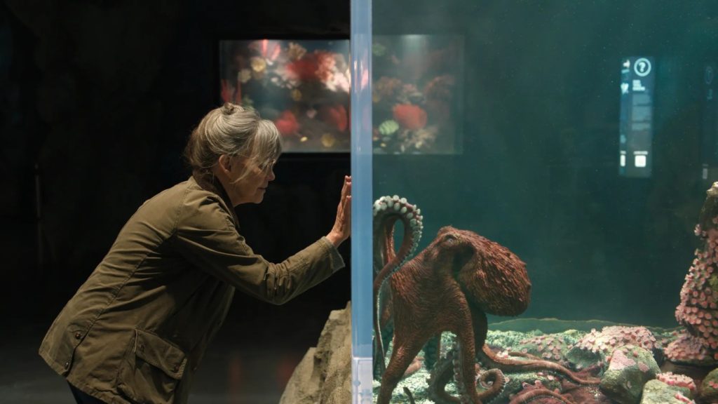 ‘Criaturas Extraordinariamente Brilhantes’ conquista o Emmy de Melhor Filme
