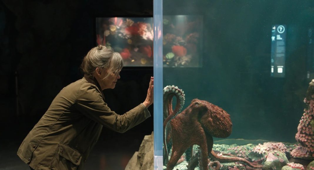 Woman in a brown jacket presses her hands to the glass of an aquarium, watching a large octopus among coral on the other side.