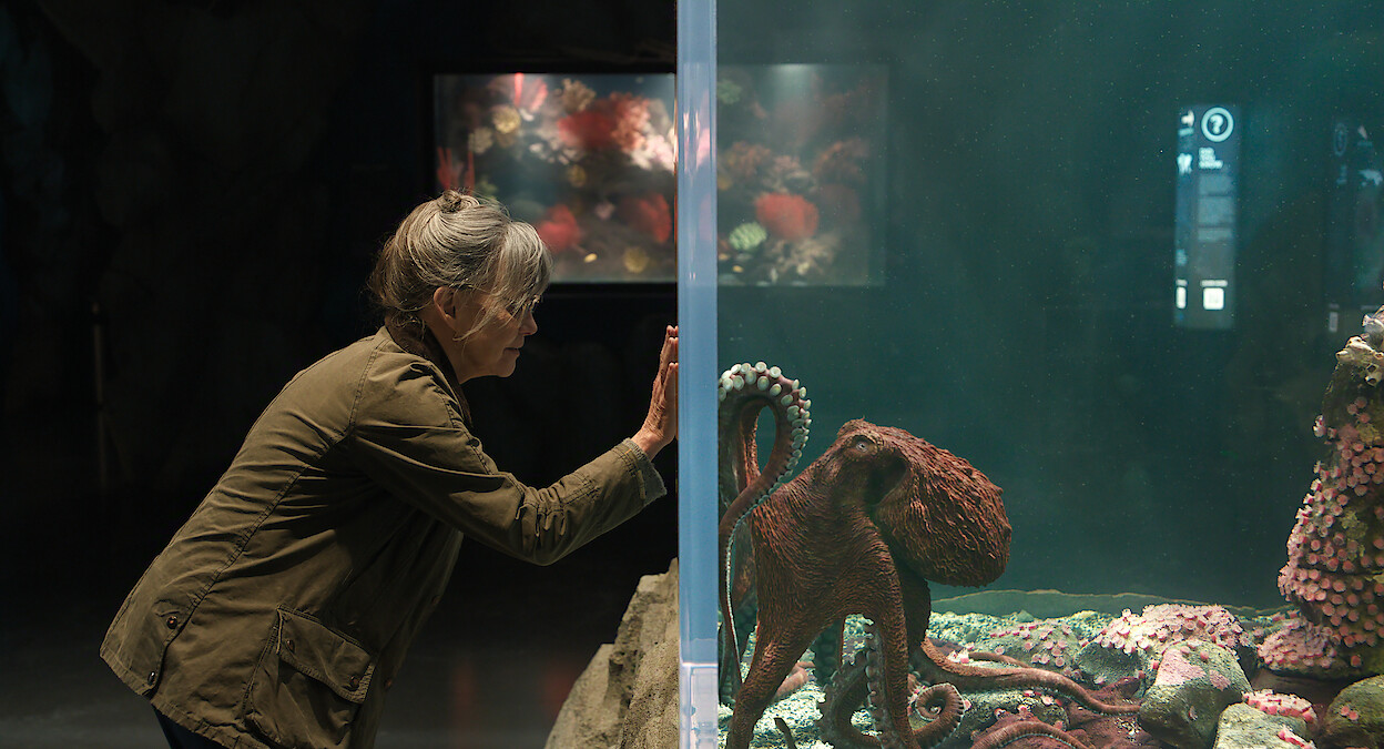 Older woman in a brown jacket leaning to touch the aquarium glass, watching an octopus inside the tank.