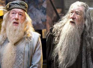 Split image of a long-bearded wizard in two outfits: pale blue robe on the left, dark robe with a staff on the right.