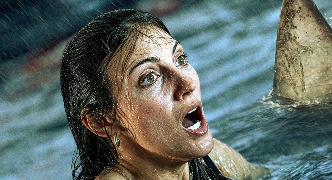 Woman in the ocean with wet hair, mouth open in alarm as a shark fin rises nearby.