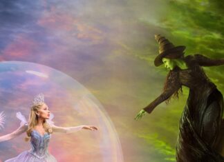 Princess in a silver ball gown and crown reaches toward a green-skinned witch on a broom, inside a large magical bubble against a colorful sky.