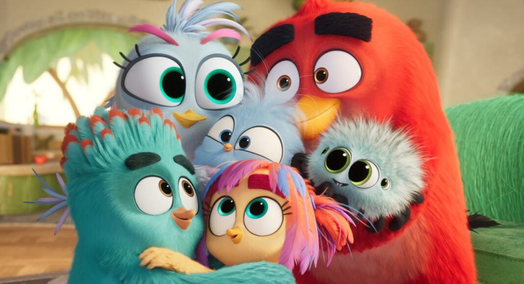 angry birds