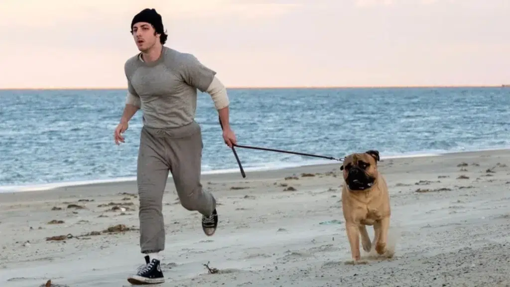 ‘Eu Sou o Rocky’: Cinebiografia sobre Sylvester Stallone DIVIDE a crítica internacional; Confira!