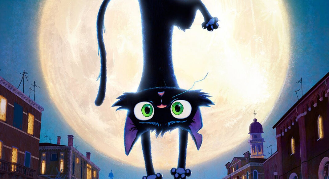 gatto