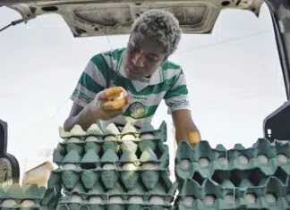 A Vida de Jerônimo dentro e fora da Casca