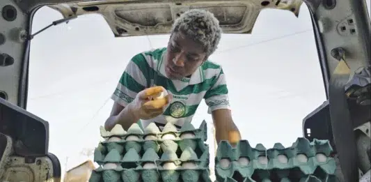 A Vida de Jerônimo dentro e fora da Casca