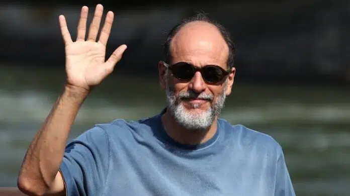 luca guadagnino
