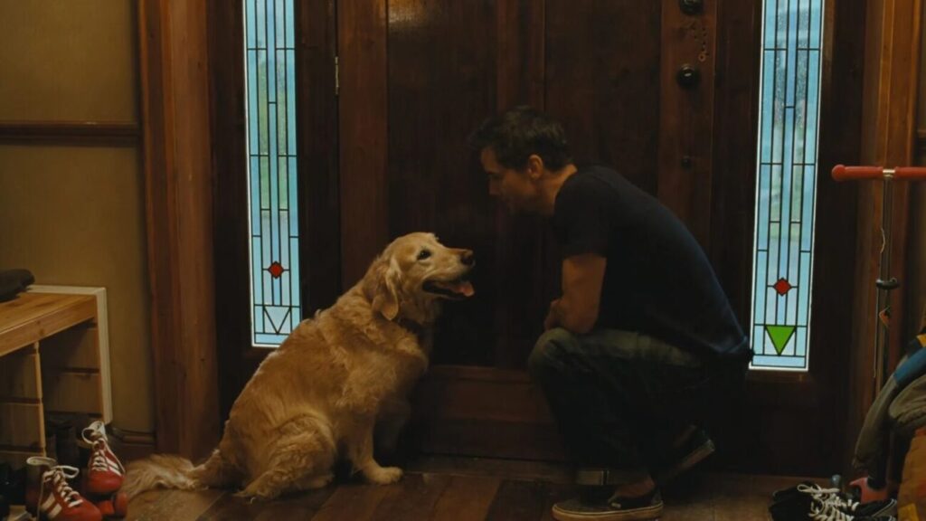 ‘A Última Casa’: O cachorro morre? [AVISO DE SPOILERS]