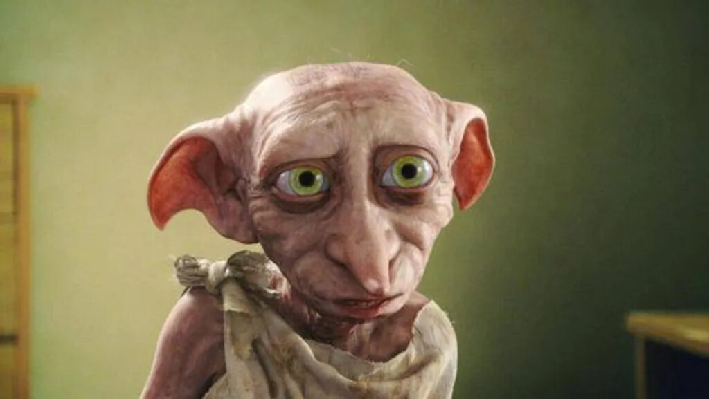 ‘Harry Potter’: Fãs impedem obra de passar pelo túmulo de Dobby; Saiba mais!