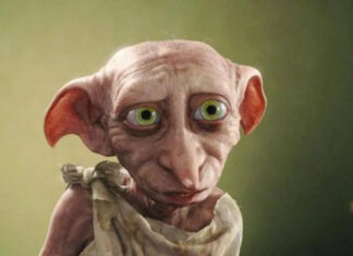 ‘Harry Potter’: Fãs impedem obra de passar pelo túmulo de Dobby; Saiba mais!